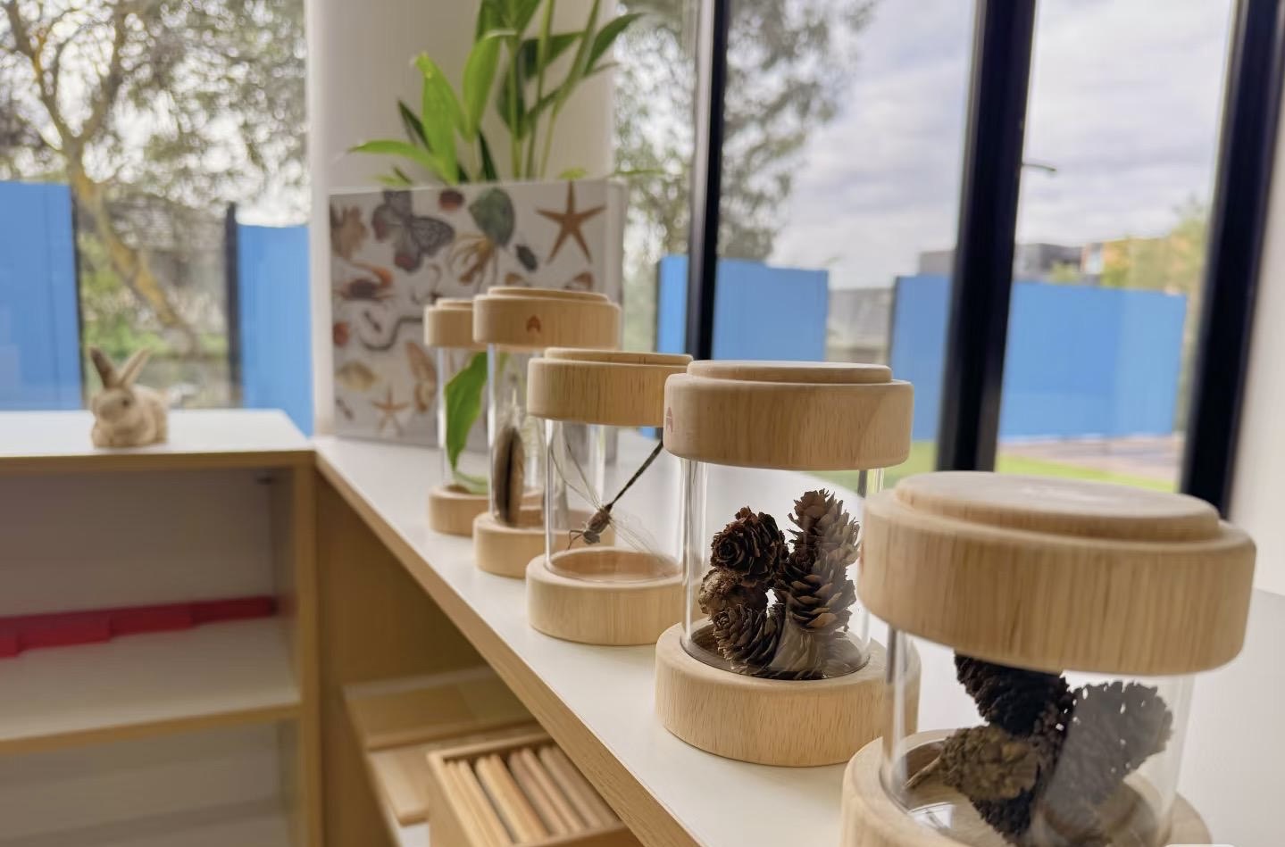 https://littlelaneelc.com.au/wp-content/uploads/2025/07/bf1c0bf5-58f9-4065-8074-c180cca59b62.jpg